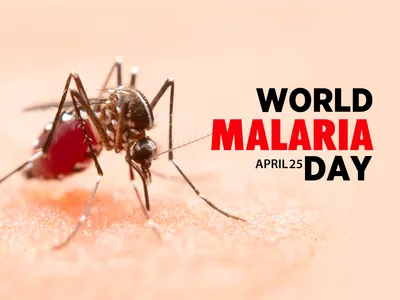 world malaria day  भारत में मलेरिया उन्मूलन परियोजना के अंतिम चरण आज से शुरू हो रहल बा  28 राज्य रोग मुक्त होई।