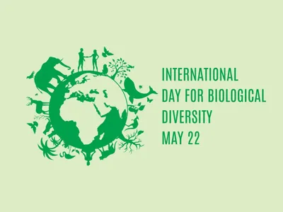 world biodiversity day today   विश्व जैव विविधता दिवस  आज जैव विविधता के सहेजे के जरुरत