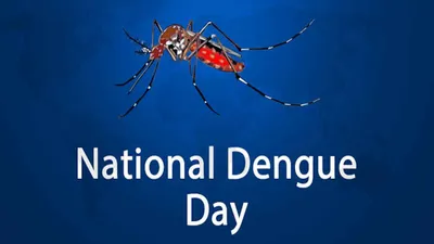 national dengue day 2024   डेंगू के मच्छर दूर दूर तक ना मंडराई  बस अपना दिनचर्या में इ 5 बदलाव करीं