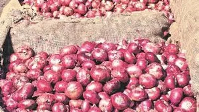 onion prices  100 रुपये पहुंची पियाज के दाम  तीन दिन में दोगुना भइल कीमत  जल्दी राहत मिलला के आसार नइखे 