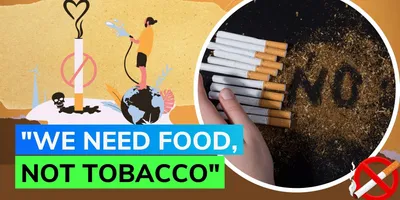 world no tobaco day 2024   इ 8 खाद्य पदार्थ धूम्रपान अवुरी तंबाकू के लत छोड़े में मदद करेला
