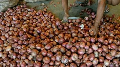 onion export  पियाज निर्यात से प्रतिबंध हटावे से पहिले ec से लिहल गइल अनुमति  केंद्र कहलस  कीमत इस्थिर रही