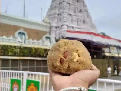 tirupati temple prasad controversy  जानीं कइसे बनावल जाला बाला जी मंदिर के प्रसाद 