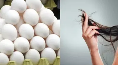 नेचुरल कंडीशनर होला अंडा  अइसे करब इस्तेमाल तs ल‌वट आई बाल के चमक