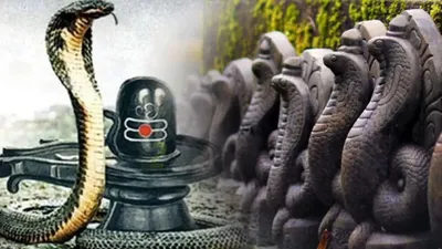 nag panchami 2024  आजु नाग पंचमी में एतना घंटा ले रही पूजा के शुभ मुहूर्त  जानीं पूजन के विधि 