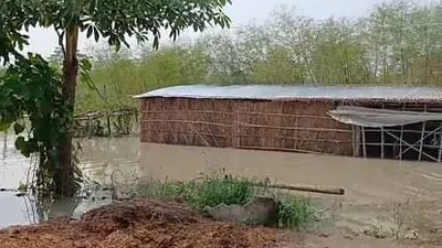 bihar flood  मुजफ्फरपुर में नहर के तटबंध टूटल  कई गो घरन में घुसल पानी