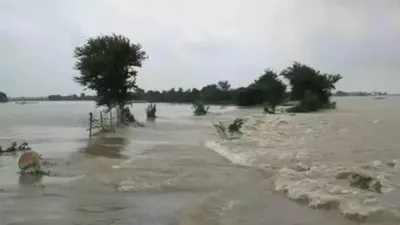 flood in patna  गंगा में उफान जारी  पटना में दू गो स्थान पऽ खतरा के निशान पार  लोग सुरक्षित जगह पऽ कर रहल बाड़े पलायन