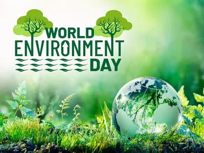world environment day 2024  काहें विश्व पर्यावरण दिवस खाली 5 जून के मनावल जाला एकर इतिहास  महत्व आ विषय जानीं
